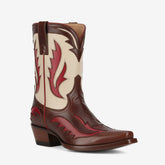 Tuhoomall Western Ankle Boots for Women, Stylish Casual and Workwear, Sharp Toe, Chunky Heel, Zipper Closure, Patches and Embroidery Details Tuhoomall